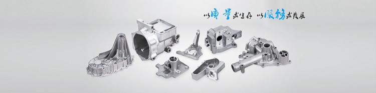 Aluminum die casting